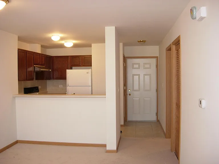 1828 S Wentworth Ave #6D — Photo 6