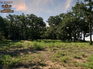 61 Camden Ln, Springtown, TX 76082
