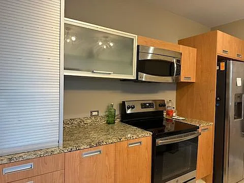 1133 Metropolitan Ave #306 — Photo 9