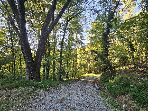 4th image of 162 Phillips Hollow Rd