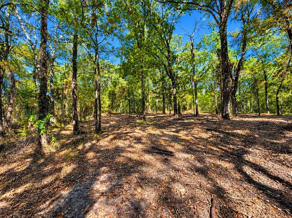 LOT 2 Wood Creek Dr, Lone Oak, TX 75453