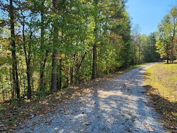 LOT 1699 Shade Tree Dr, Talking Rock, GA 30175