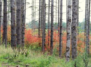 Noakes Rd, Vernonia, OR 97064