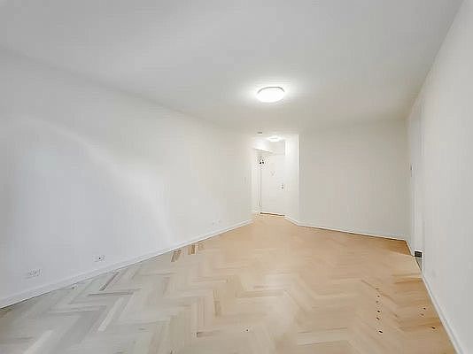3rd image of 316 E 55th St APT 4A