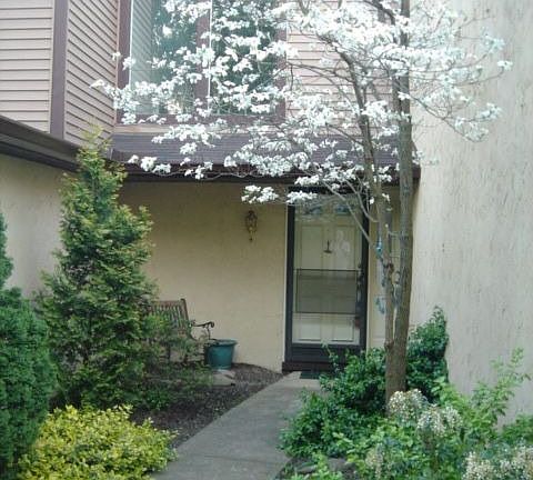 Entry walk Dogwood