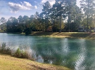 4185 Deep Step Dr, Ravenel, SC 29470