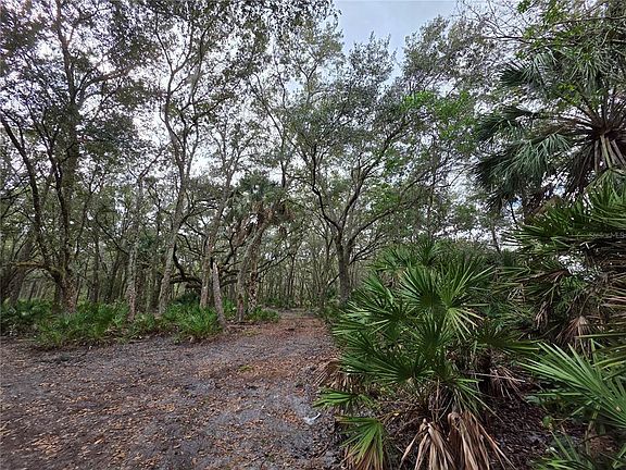 5th image of 0 STATE ROAD 60 E LOT 5