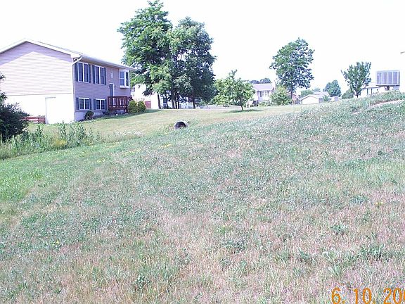Yard View #2