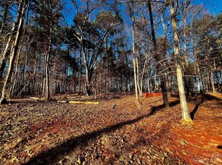 123 Hunt Camp Trl #17, Davidson, NC 28036