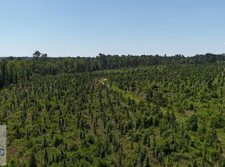 0 Deer Ct, Vidalia, GA 30474