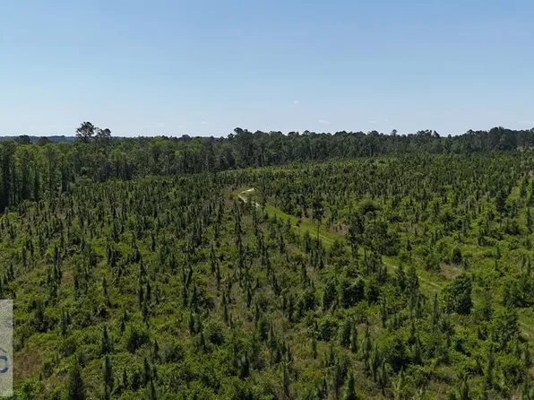 0 Deer Ct, Vidalia, GA 30474