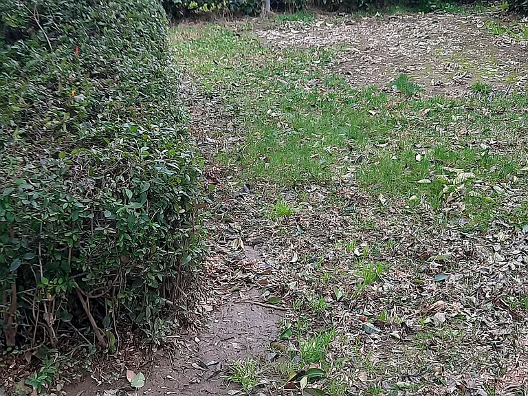 Heather Glen — Photo 11