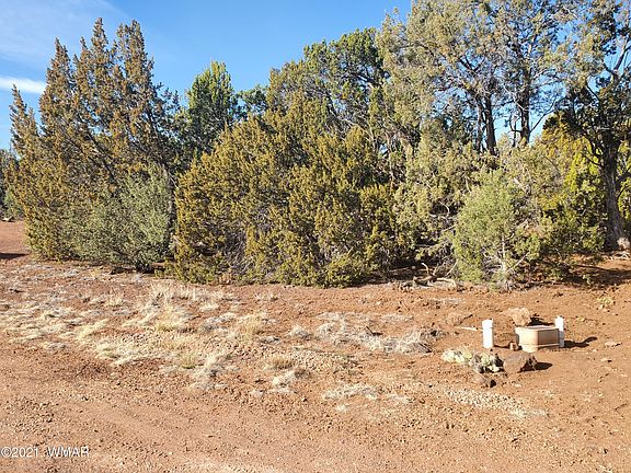 4th image of 1840 Lone Pine Circle