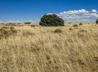 32 County Road 5079 #5A, Concho, AZ 85924