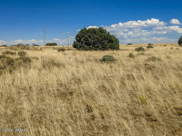 32 County Road 5079 #5A, Concho, AZ 85924