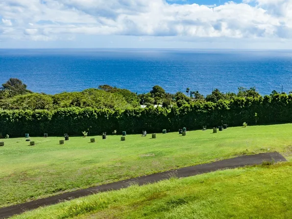 36-3349 Kuwili Lani Pl #8, Laupahoehoe, HI 96764