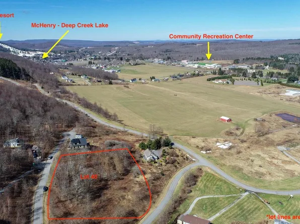 40 Daisy Dr, Mc Henry, MD 21541