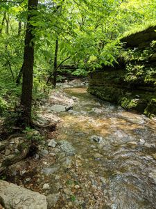 000 Coyote Ridge Road, Cassville, MO, 65625