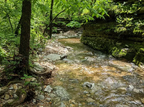 000 Coyote Ridge Road, Cassville, MO 65625