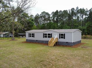 4561 Buffalo Creek Dr, Nahunta, GA 31553