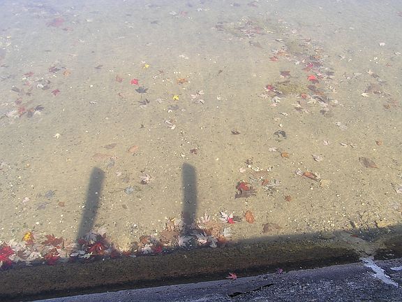 Sandy lake bottom