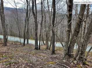 114 Hoot Owl Ln, Beech Mountain, NC 28604