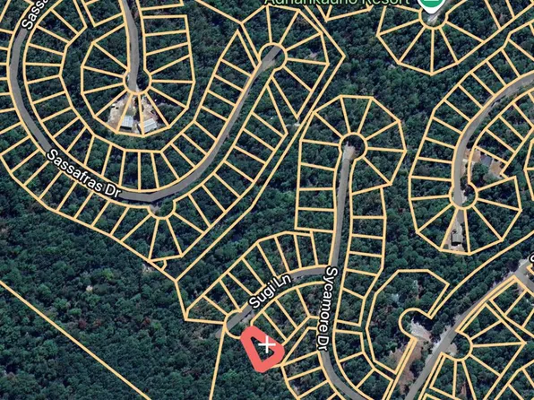 161 Sugi Ln, Brookeland, TX 75931