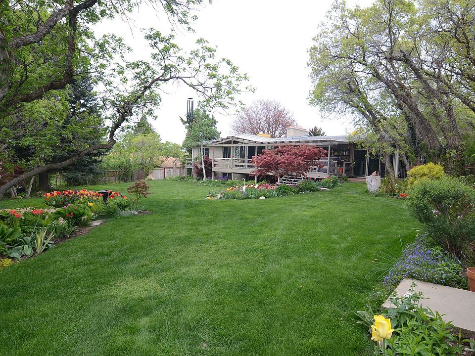 Secluded Back Yard