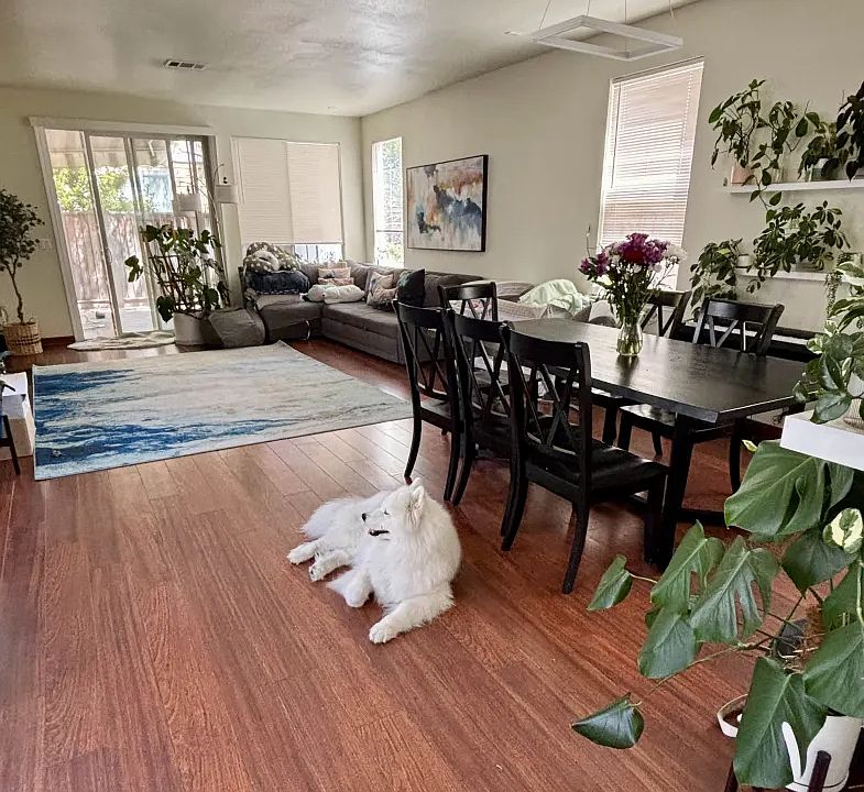 1st image of 943 Mouton Cir