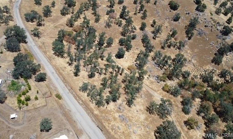 1st image of LOT 1 233