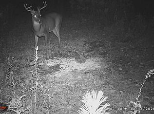 1788 Meadow Dr, West Branch, MI 48661