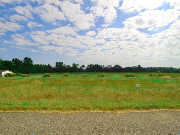 17240 Red Hill Rd, Athens, AL 35611