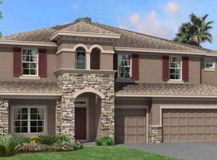 33318 Sycamore Leaf Dr, Wesley Chapel, FL 33545