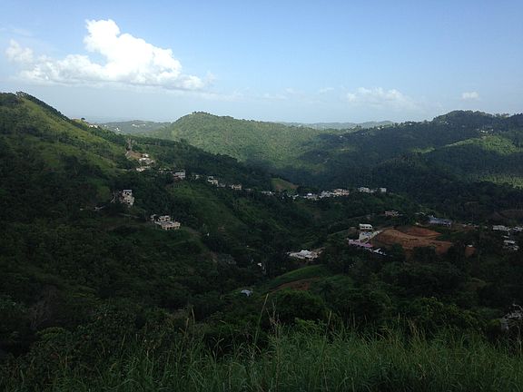 5th image of Carr 770 Km 1.3 Palo Hincado