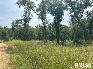 LOT 1 225th St, De Witt, IA 52742