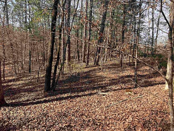 2nd image of (Undisclosed Address)