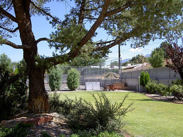 QP back picnic area & tree