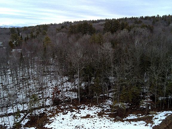 4th image of 38 Walker Road