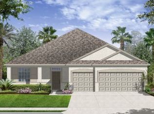 18581 Milton Keynes Ct, Land O Lakes, FL 34638