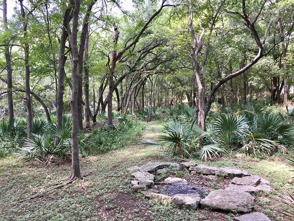 Forested creekside in backyard