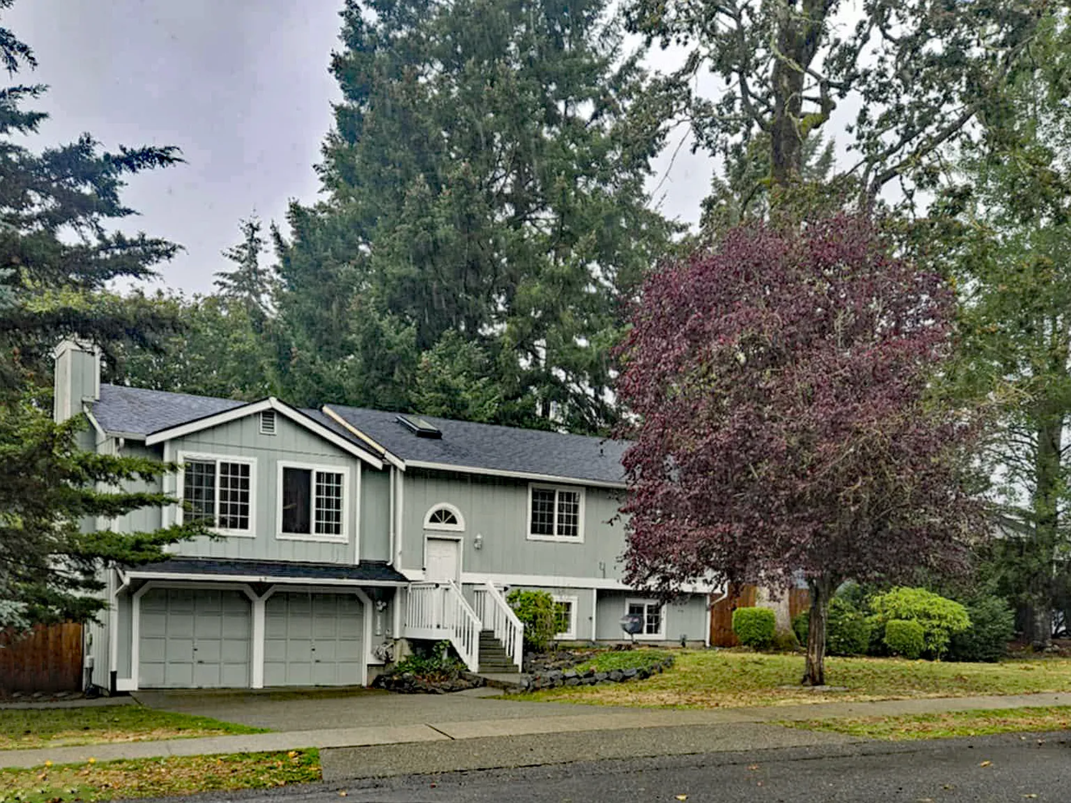4 bed, 2240 sqft, $3,800 — Photo 3