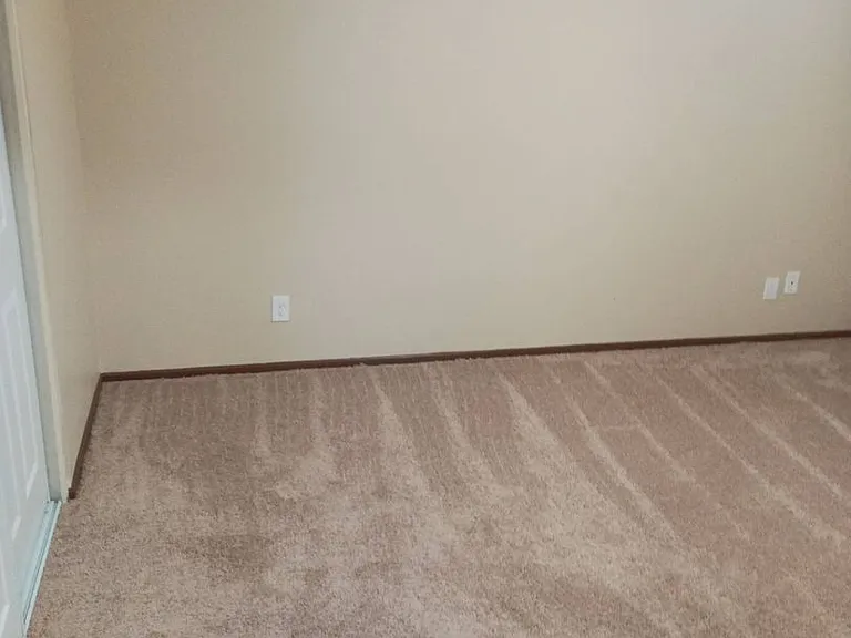 Coidylwood — Photo 12
