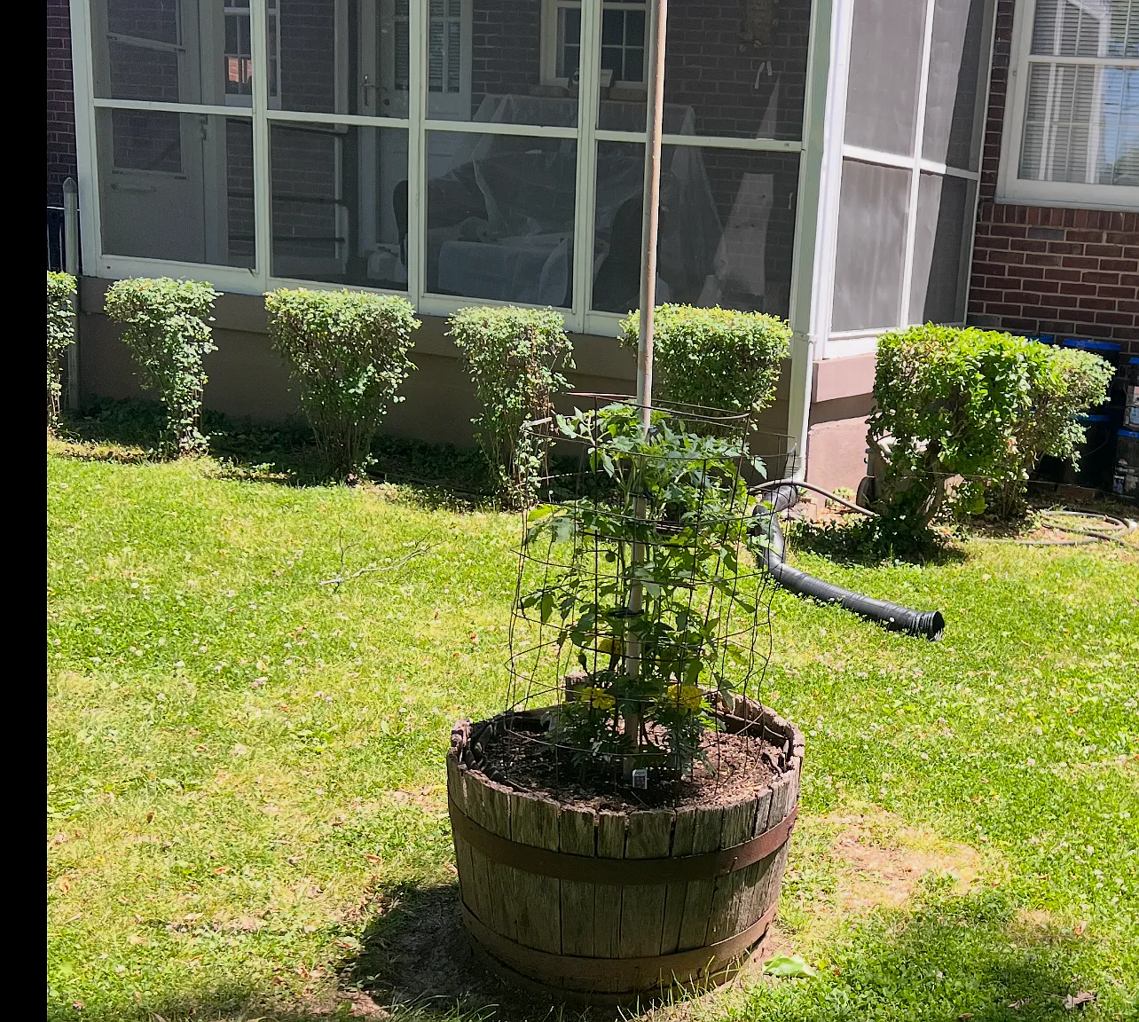 3 bed, 1550 sqft, $3,000 — Photo 4