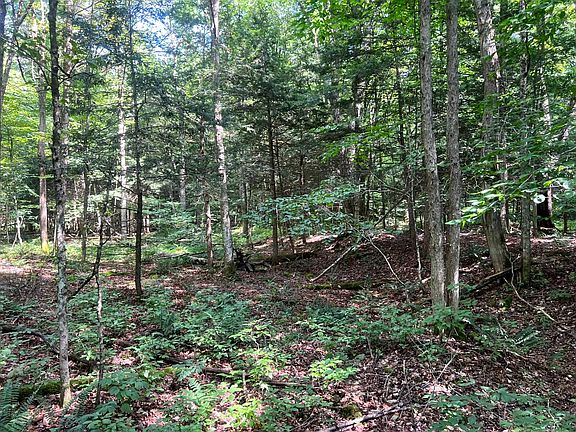 5th image of 1.1 Trout Run Dr