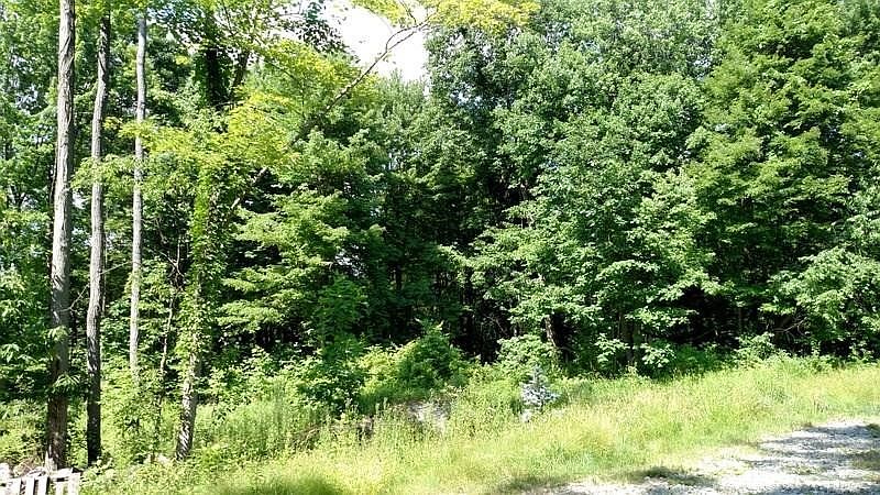 2nd image of 861 Branchton Rd