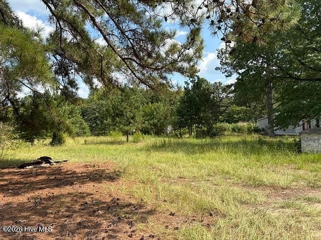 2nd image of 3832 Watson Seed Farm Road LOT 11