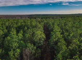 0 Brush Creek Rd LOT 13, Hohenwald, TN 38462