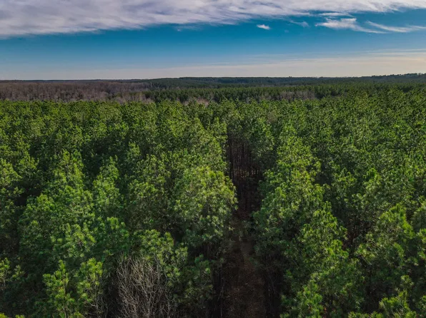 0 Brush Creek Rd Lot 13, Hohenwald, TN 38462