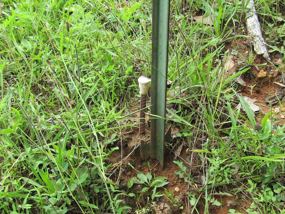 0 Gunnels Lakeview Estate Rd Byrdstown, TN, 38549 Apartments for Rent