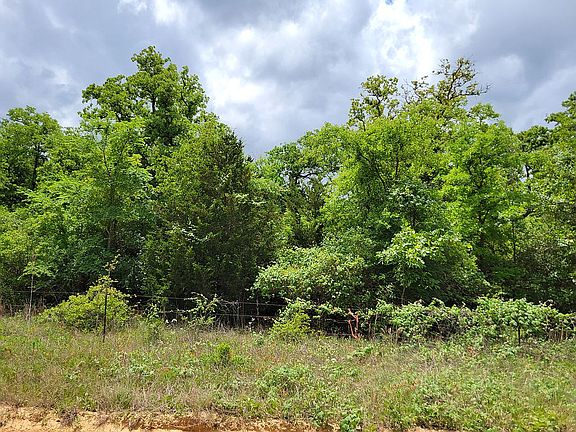 North property line